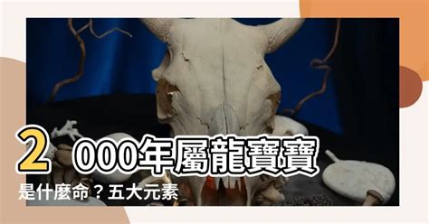 龍年2000|【2000 龍】2000年出生屬龍是什麼命？五行、吉凶揭密 – 葛鶴鈞。